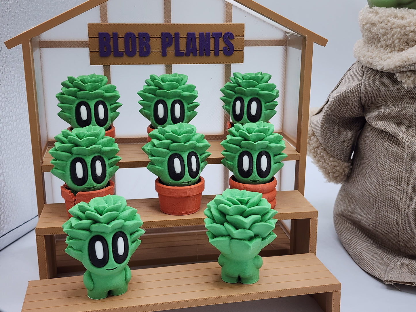 Blob Plants - Succulent