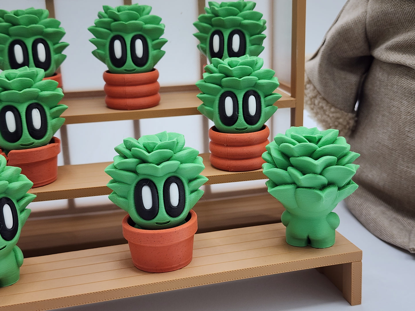 Blob Plants - Succulent