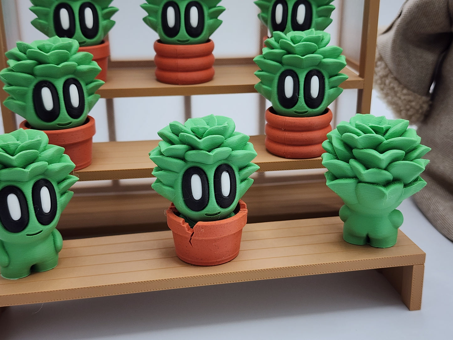 Blob Plants - Succulent