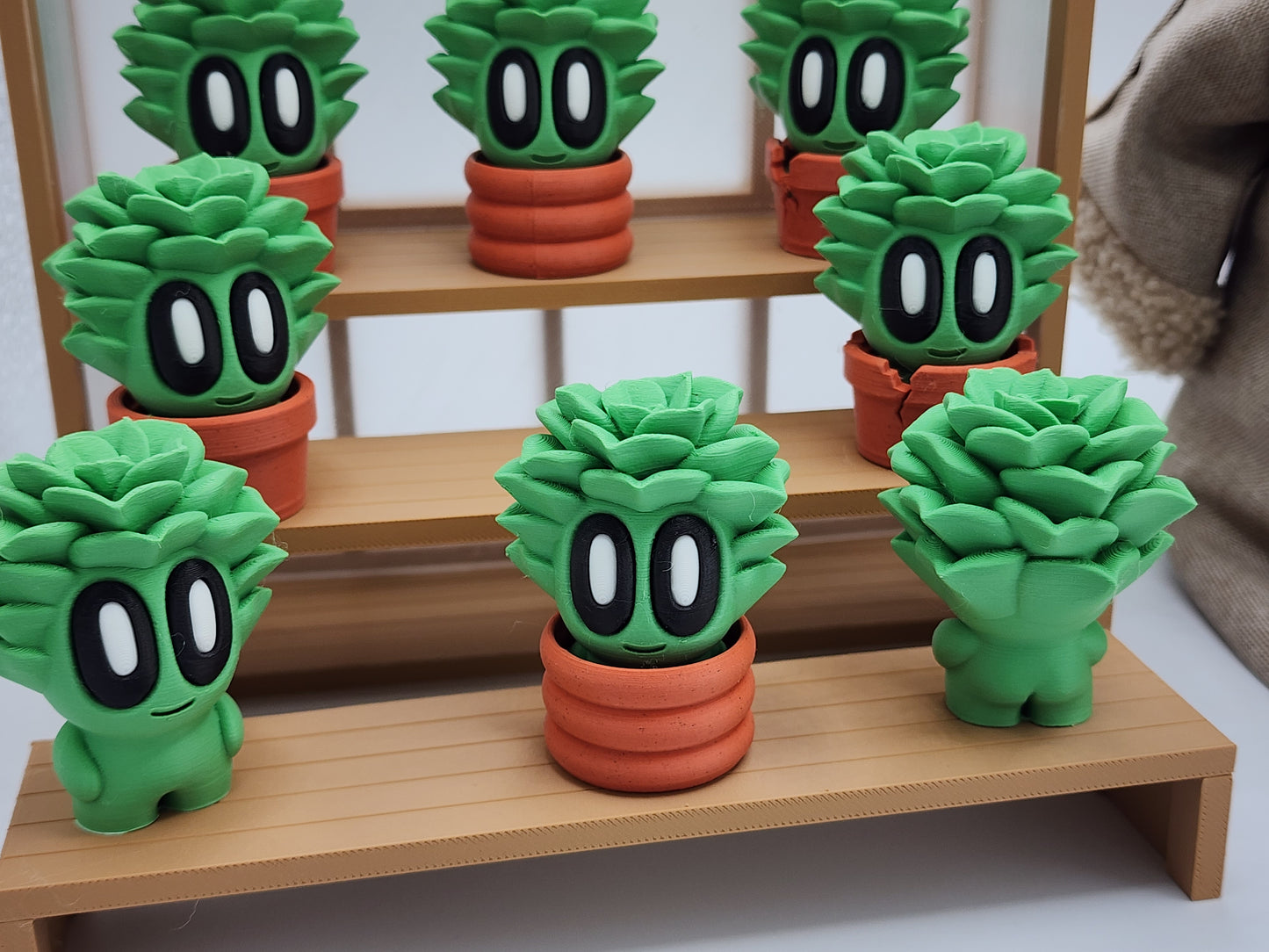 Blob Plants - Succulent