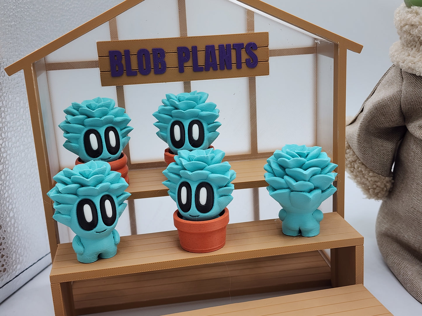Blob Plants - Succulent