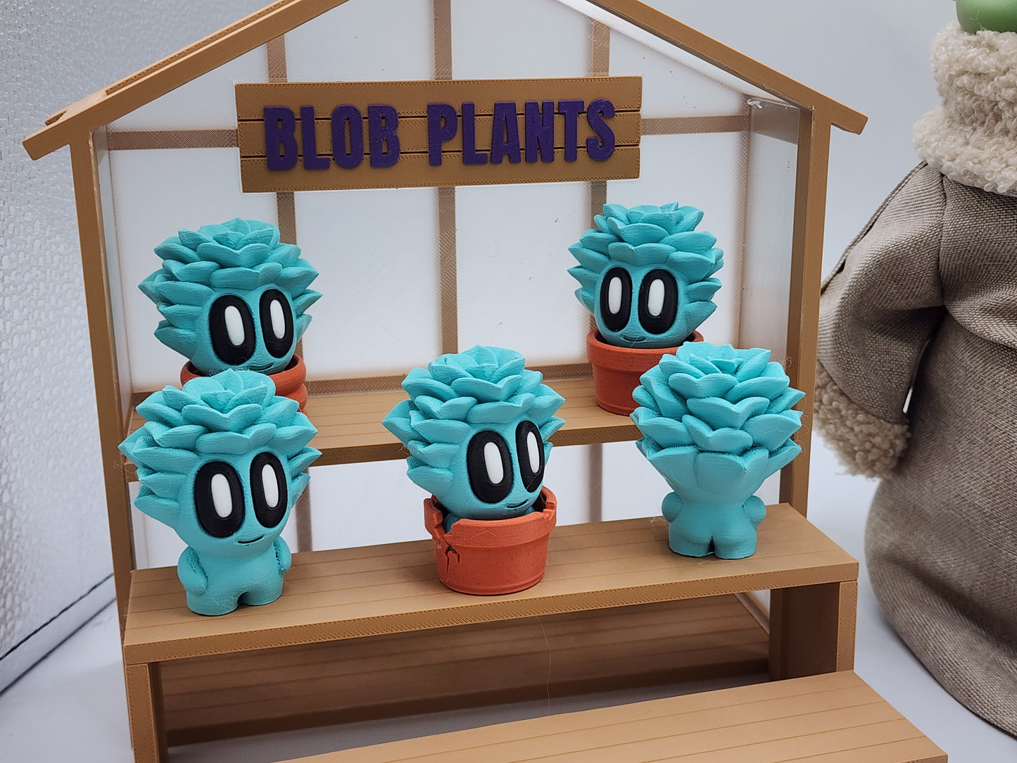 Blob Plants - Succulent