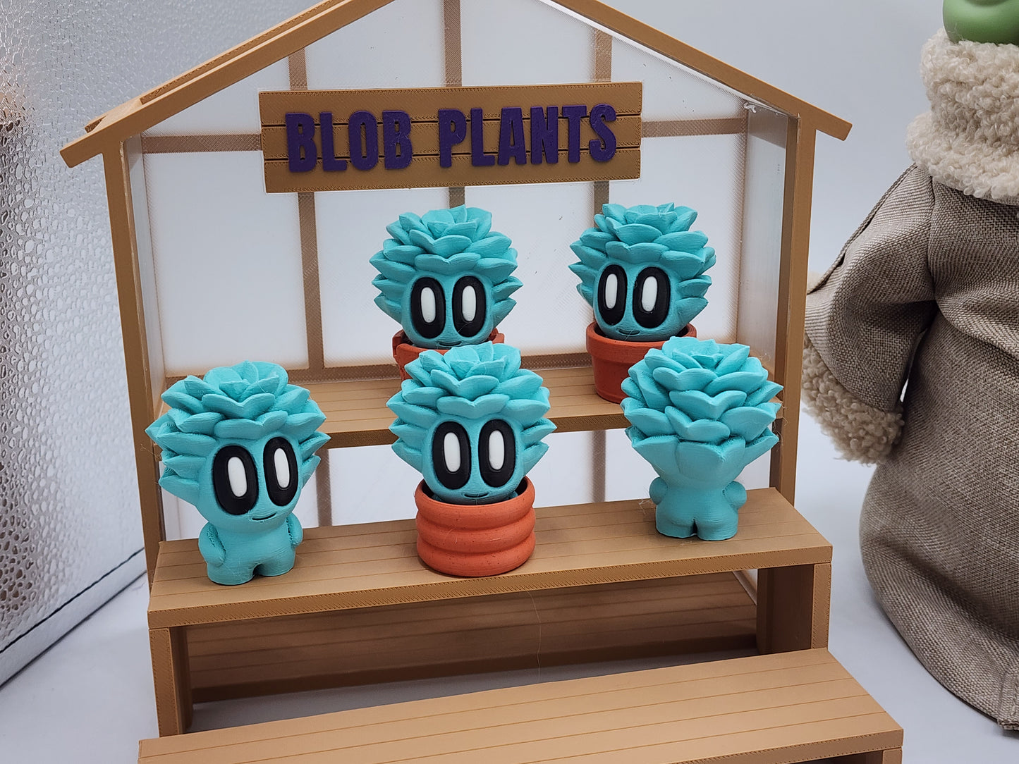 Blob Plants - Succulent