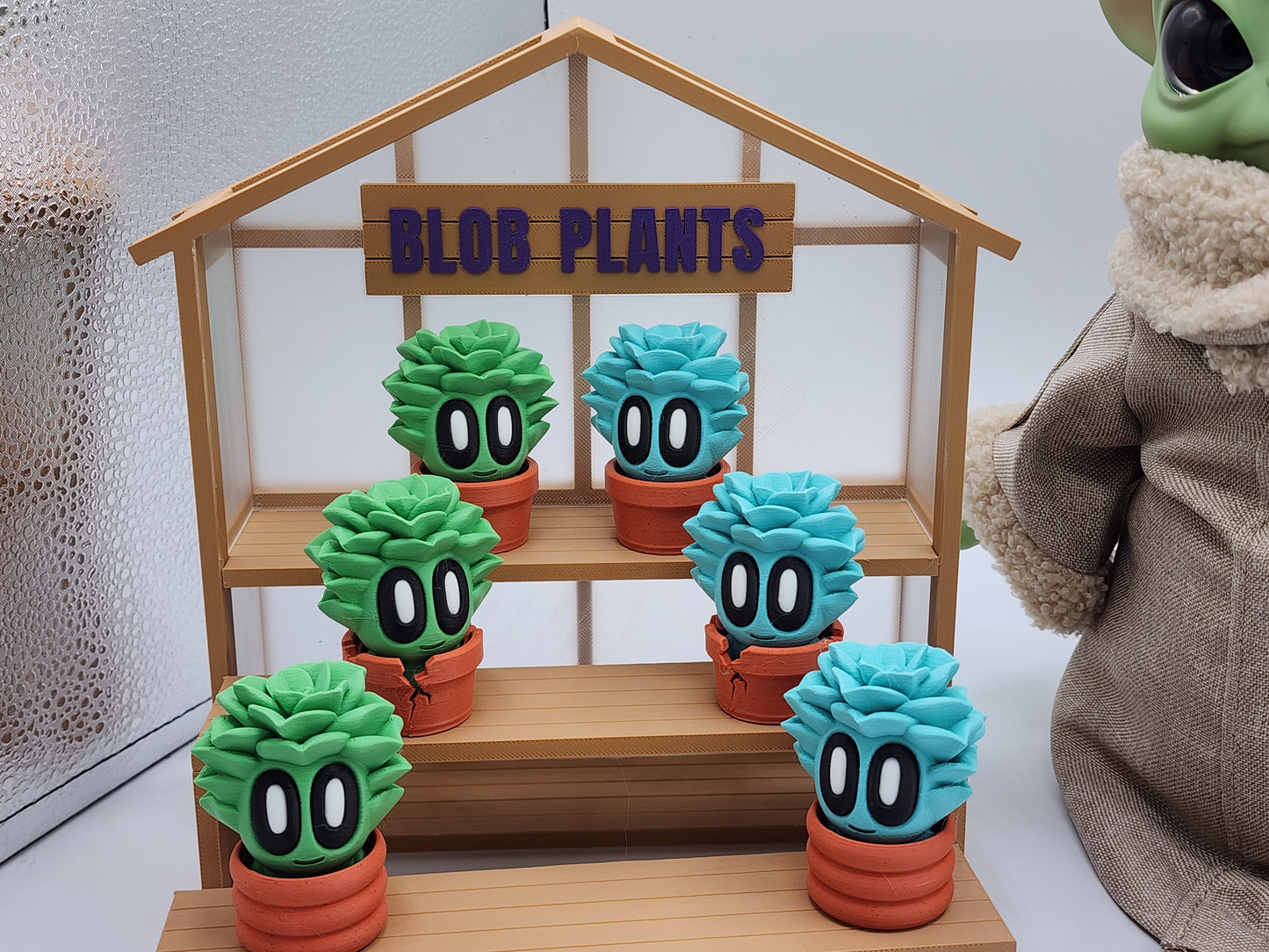 Blob Plants - Succulent