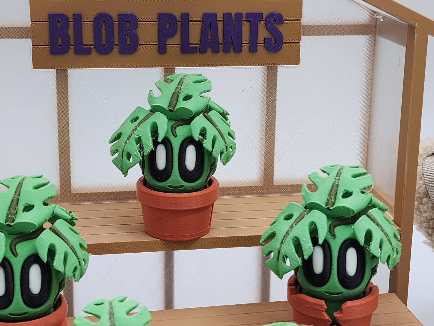 Blob Plants - Monstera Leaves