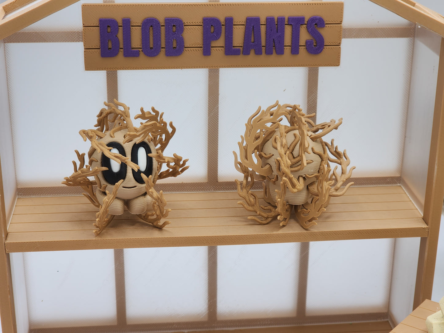 Blob Cactus Plants - Desert Series