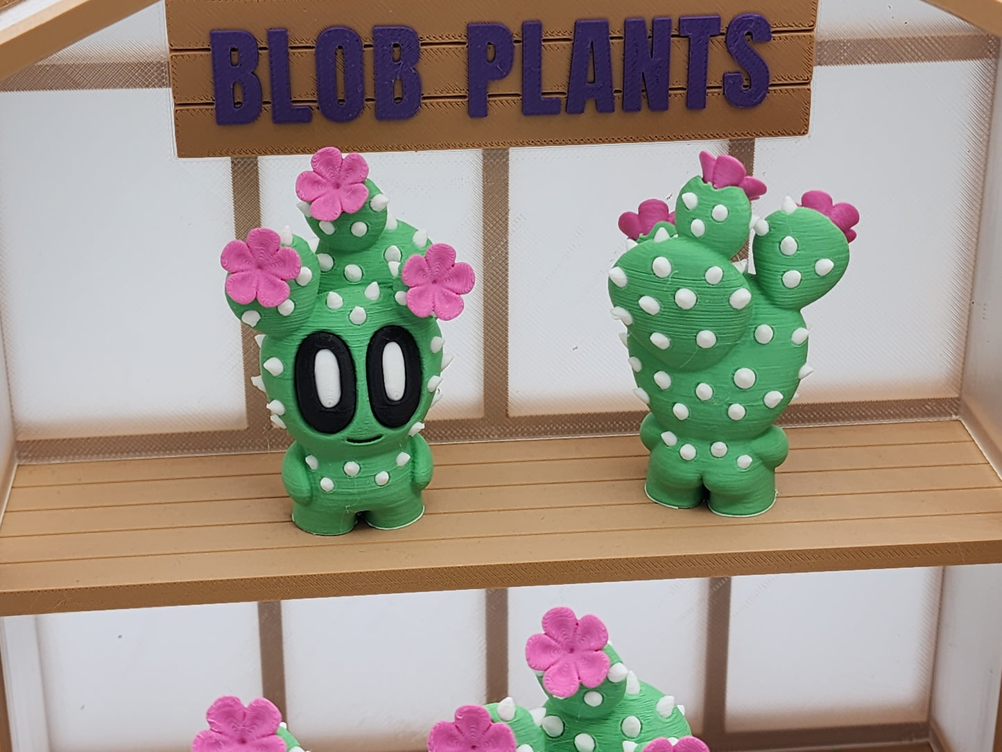 Blob Cactus Plants - Desert Series