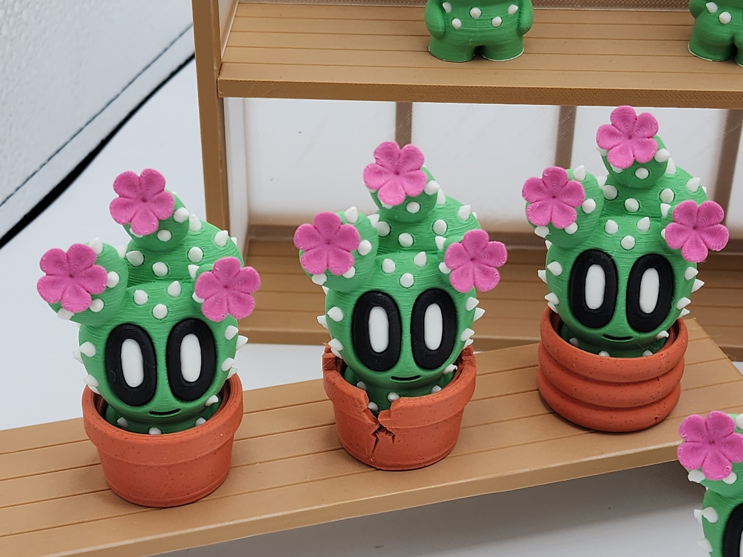 Blob Cactus Plants - Desert Series