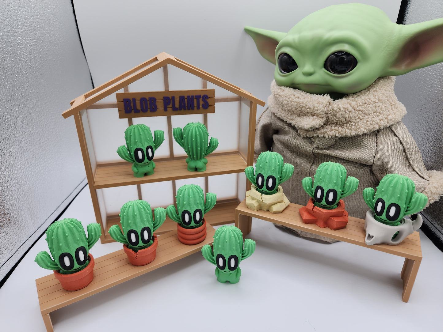 Blob Cactus Plants - Desert Series