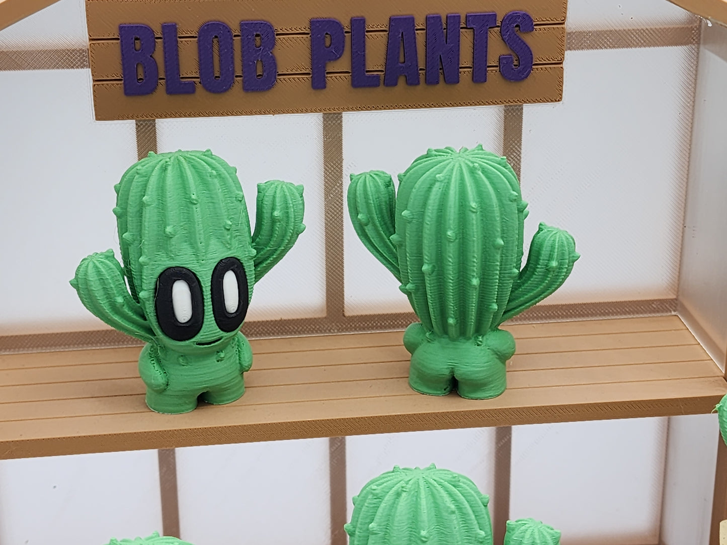 Blob Cactus Plants - Desert Series