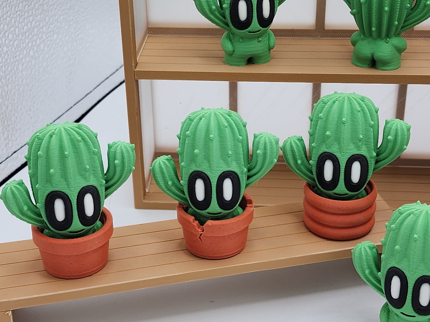 Blob Cactus Plants - Desert Series