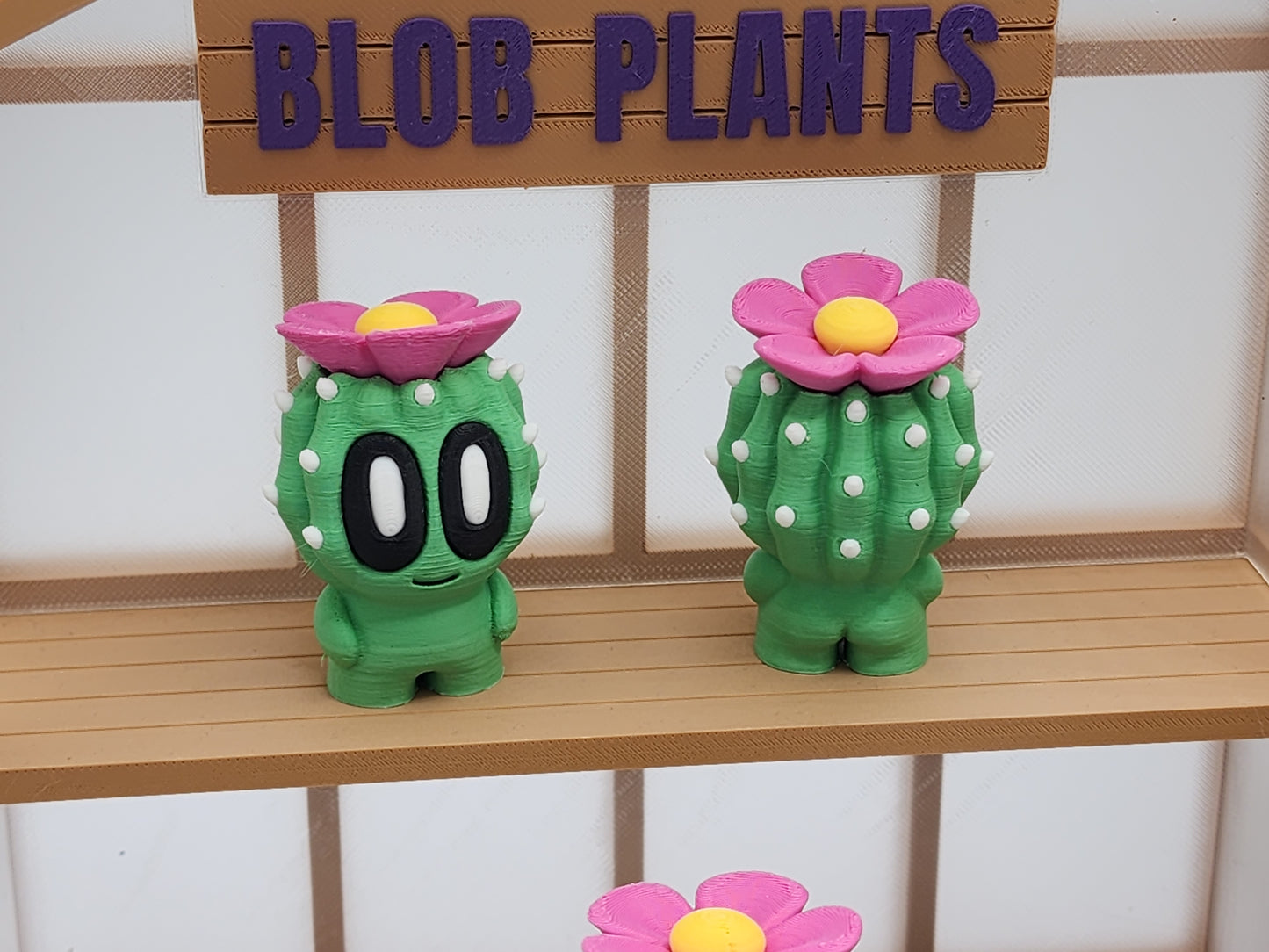Blob Cactus Plants - Desert Series