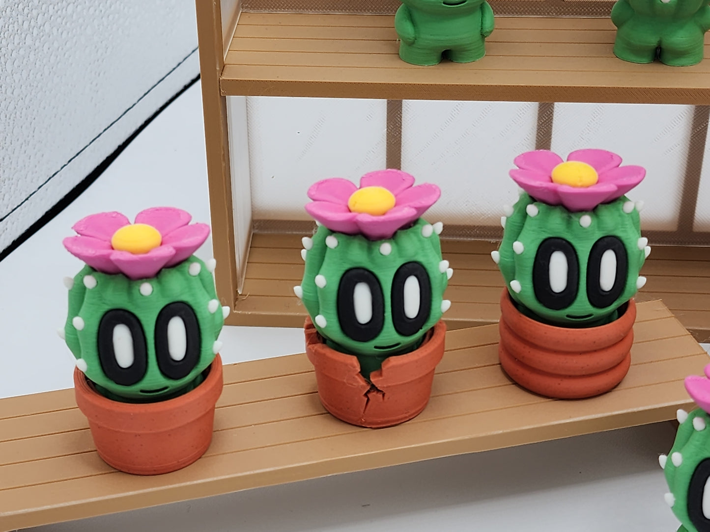 Blob Cactus Plants - Desert Series