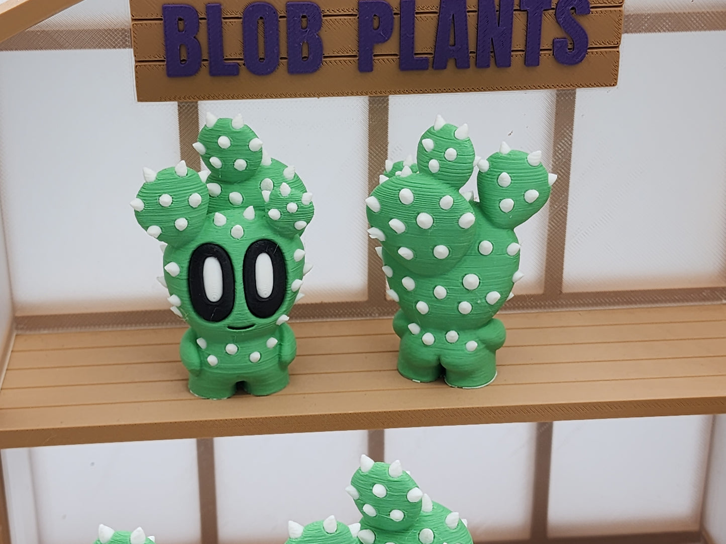 Blob Cactus Plants - Desert Series